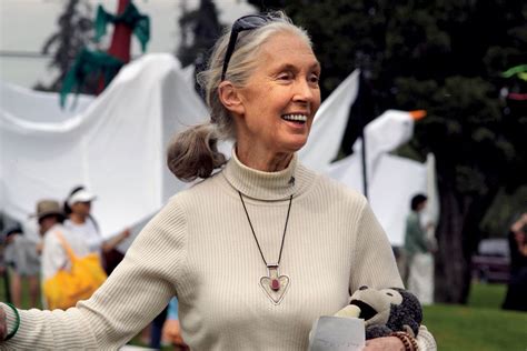 Jane Goodall A Life In Pictures Britannica Britannica