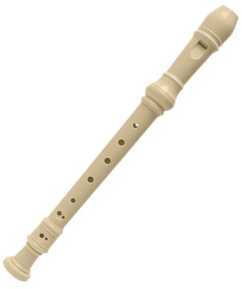 Beginners Plastic Recorder Instrument With Cleaning Rod