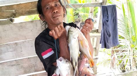 ASLI SPOTNYA PARAH IKAN MENGAMUK TIDAK ADA OBAT YouTube