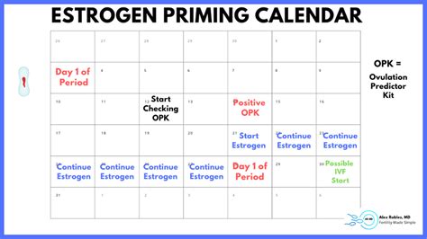 Estrogen Priming For Ivf Explained Simply What You Need To Know