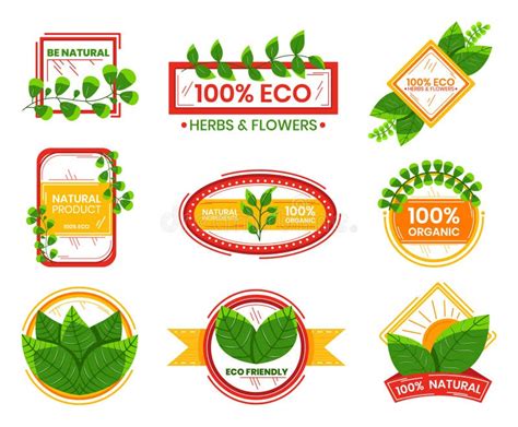 Set Of Eco Friendly Product Labels With Green Leaves And Organic Motifs