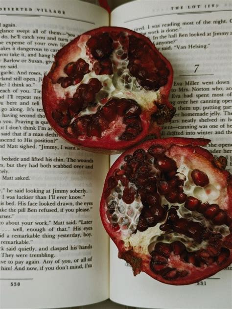 Pomegranate Aesthetic Fruit Books Vintage Grenade Hades And Persephone