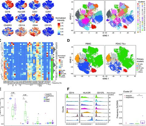 Identification Of Immune Cell Subtypes In The Pdac Tme A Cells Download Scientific Diagram