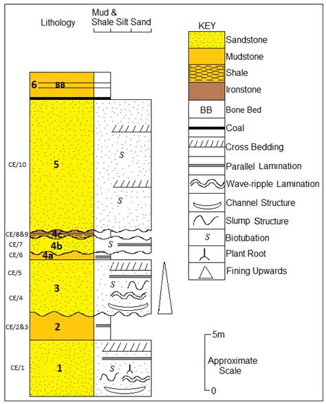 Sedimentary Log Sheet