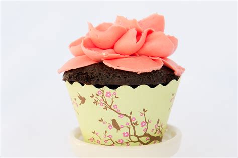 Lovely Cupcake - Cupcakes Photo (31768133) - Fanpop