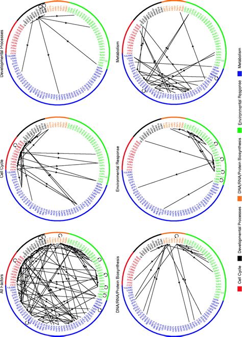 Transcriptional Regulatory Networks In Saccharomyces Cerevisiae Science