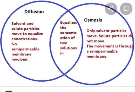 Differences And Similarities Between Simple Diffusion Facilitated Diffusion And Osmosis