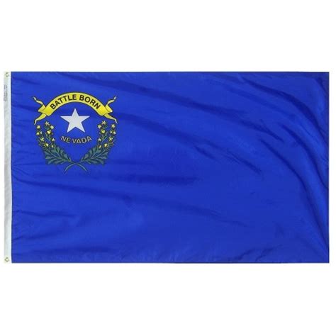 Nevada State Flag – American Flagpole & Flag Co.