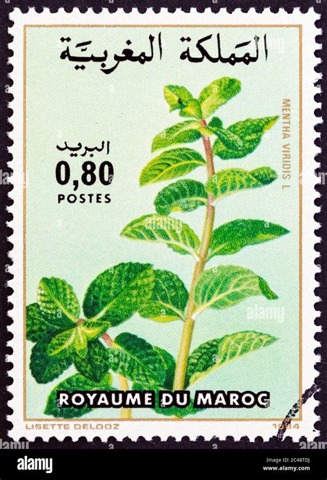 MOROCCO CIRCA 1984 A Stamp Printed In Morocco From The Flowers