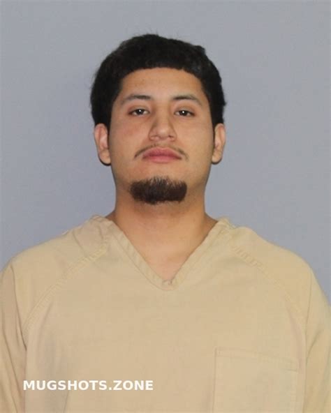 GARCIA MARIO ANDRES 06 28 2023 Palo Pinto County Mugshots Zone