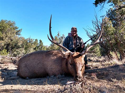 New Mexico Elk Hunts Big Game Hunting Rancho Rojo Outfitters