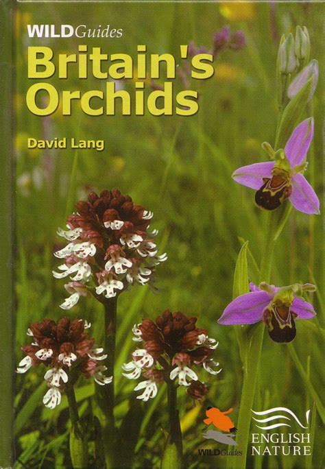 Britain S Orchids Nhbs Field Guides Natural History