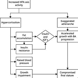 Schematic Representation Of Putative Mechanisms Of The Associations