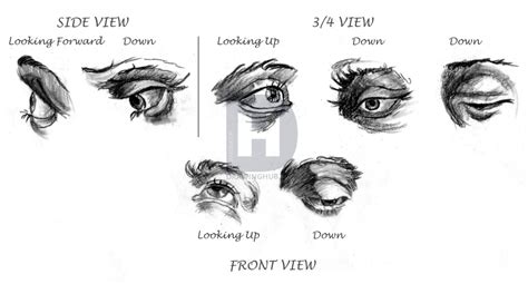 Eyes Looking Down Drawing at PaintingValley.com | Explore collection of ...