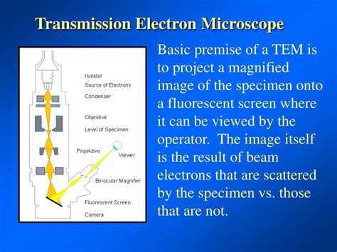 Ppt Transmission Electron Microscope Powerpoint Presentation Free