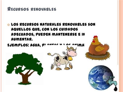 Recursos Renovables Los Recursos Naturales Renovables Son Aquellos Que