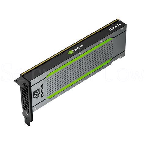 Видеокарта NVIDIA Tesla T4 16GB GDDR6 [900-2G183-0000-000] купить в ...