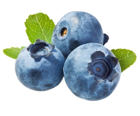 Top 131 Cartoon Blueberry Png Tariquerahman Net