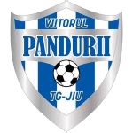 Watch CSM Slatina Vs ACS Viitorul Pandurii Targu Jiu 20 04 2024 Live