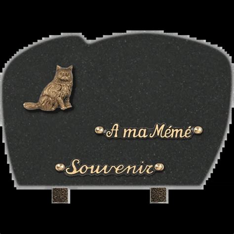 Plaque funéraire granit Nuage Chat 30x20cm Standard