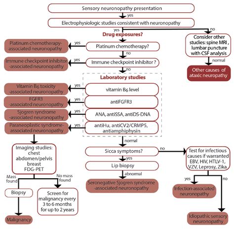 Neuromuscular Notes Neuronopathies Practical Neurology