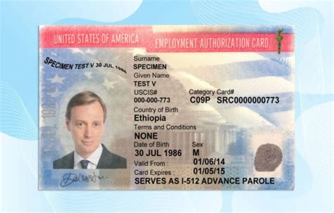 USA Employment Authorization Card Template PSD File