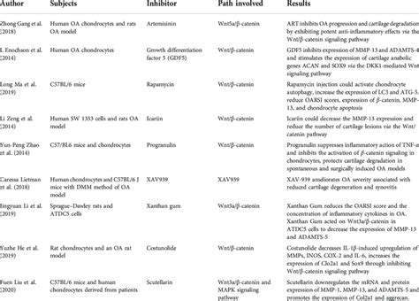 Pharmacological inhibitors of the Wnt/β-catenin signaling pathway ...