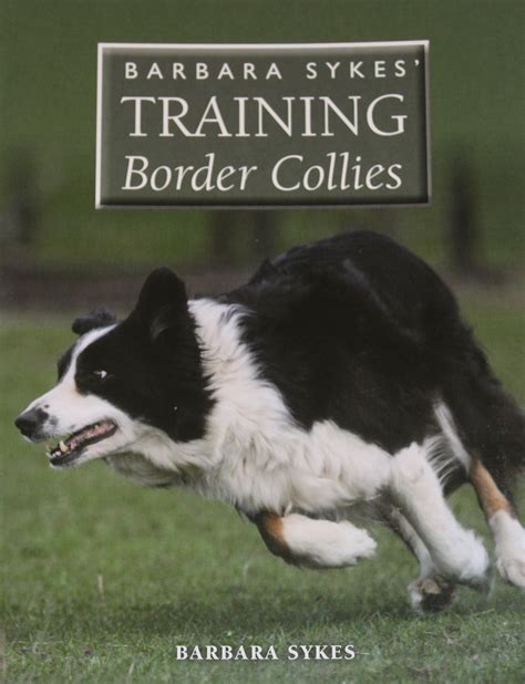 Training Border Collies (Including UK p&p) – Fostbc