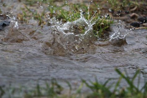 Splashing Rain in the Puddle Stock Image - Image of abstract, drops: 113625589