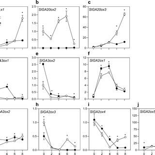 Ga Biosynthesis Genes Expression In Developing Ac And Dgt Fruits Ae