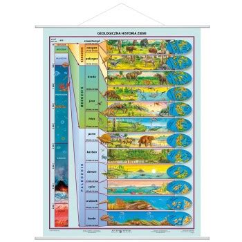Plansza Edukacyjna Geologiczna Historia Ziemi 13684 Educol