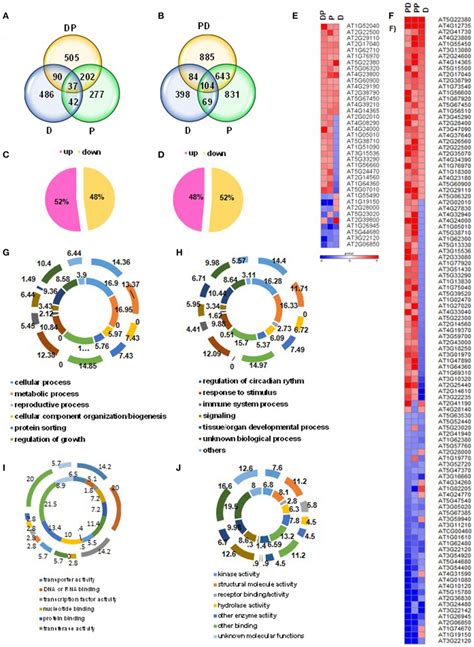 Summary Of Comparative Transcriptome Profile Of Combined Stressed