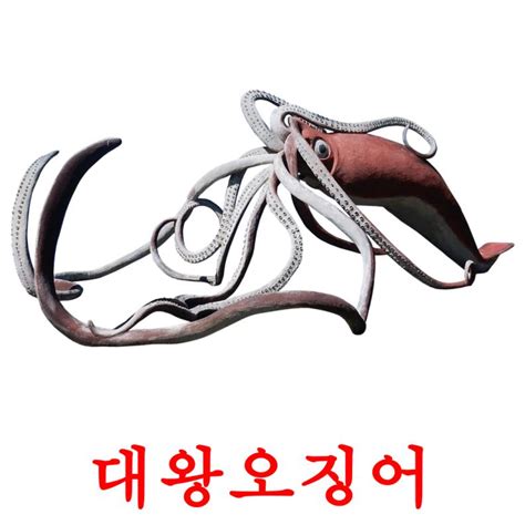 134 FREE Korean Animals Flashcards | PDF