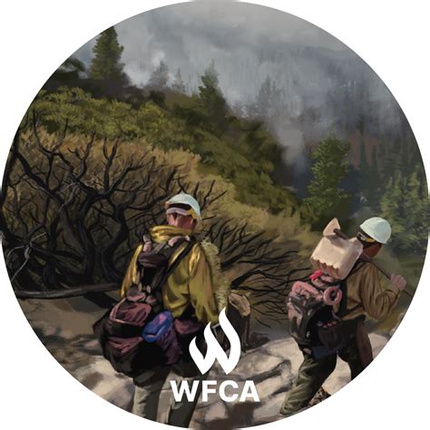 When And Where Do Wildfires Occur WFCA