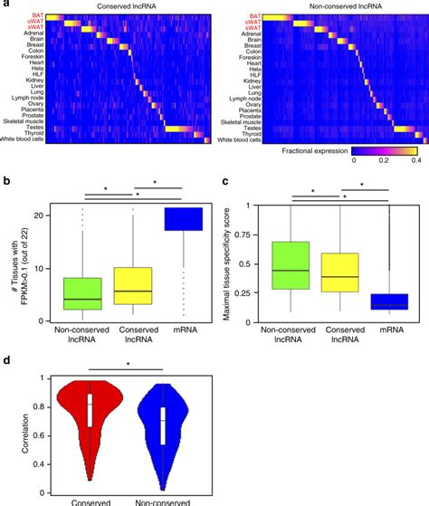 De Novo Reconstruction Of Human Adipose Transcriptome Reveals Conserved