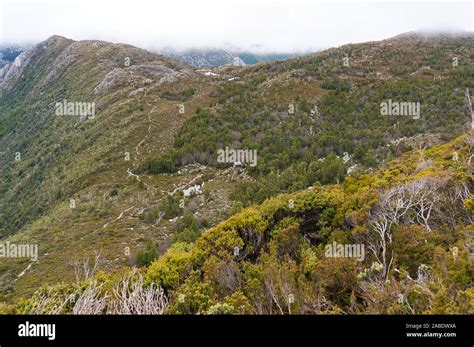 Highland Landscape With Green Forest And Trekking Path With Rangers Hut