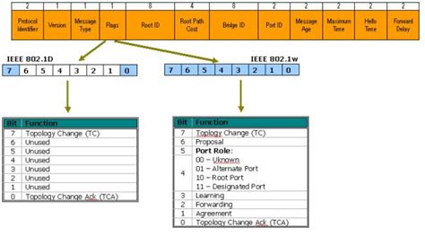 Tìm hiểu chi tiết về giao thức RSTP Rapid Spanning Tree Tiêu chuẩn