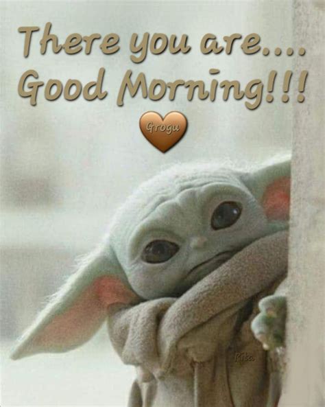 Yoda Pictures Yoda Images Morning Quotes Funny Fun Quotes Funny