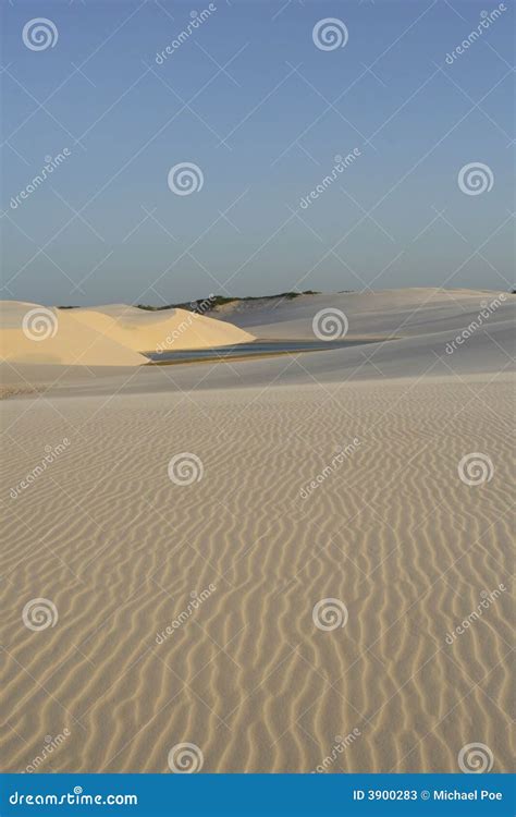 Dunas de areia oásis imagem de stock Imagem de dunas 3900283