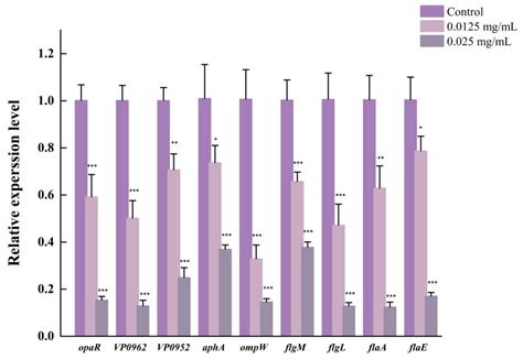 Anti Biofilm Activity Of Laurel Essential Oil Against Vibrio