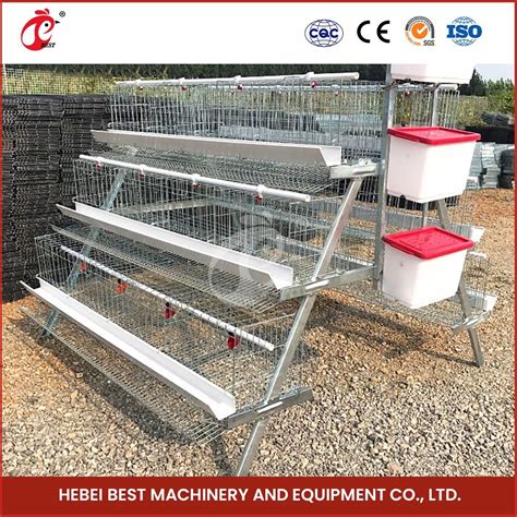 bestchickencage ordinary type layer cage china greenhouse layer chicken
