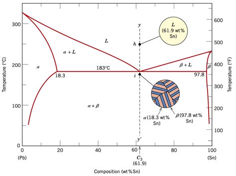 Solved Given The Lead Tin Phase Diagram As Shown Below Write Down