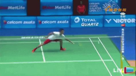 Badminton GIF - Badminton - Discover & Share GIFs