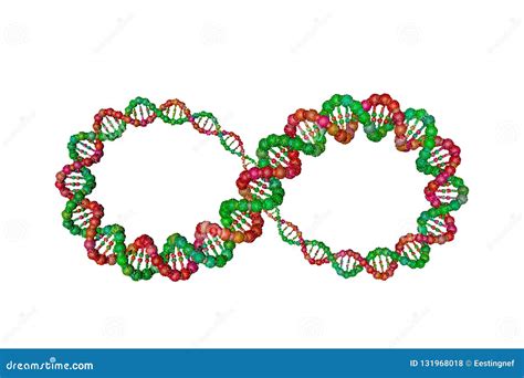 Filamento De La DNA En La Forma De Muestra Del Infinito Ilustración Del