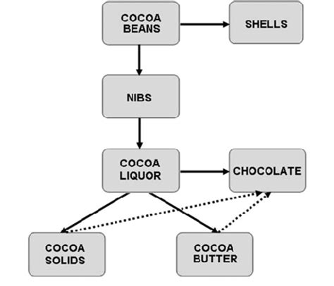 Major Stages Used In Processing Of Cocoa Beans Broken Lines Refer To