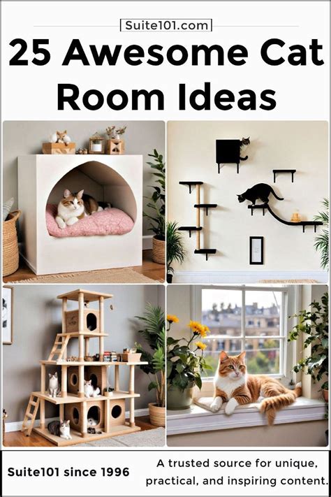 25 Cat Room Ideas To Pamper Your Pet Cat Room Cat Room Decor Cat Hacks