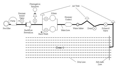 An Introduction to Drip Irrigation | College of Agricultural Sciences