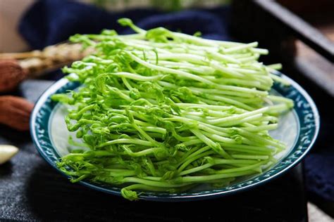 明日穀雨，寧可不吃肉，也要吃5種「芽菜」，營養豐富健康迎夏 每日頭條