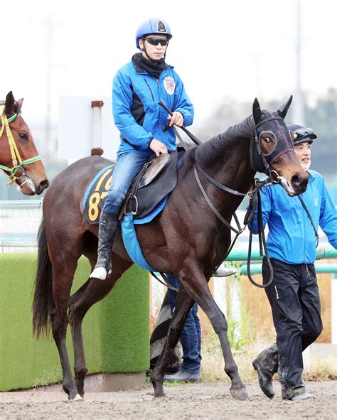 【pog】超良血馬テンペストは好気配 国枝調教師「動かしてからがすごくいい」 Umatoku 馬トク