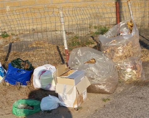 Le Foto Del Giorno Ardea Rifiuti E Cattivi Odori In Via Delle Giunchiglie